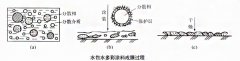 揭秘水包水多彩仿大理石效果实现原理？